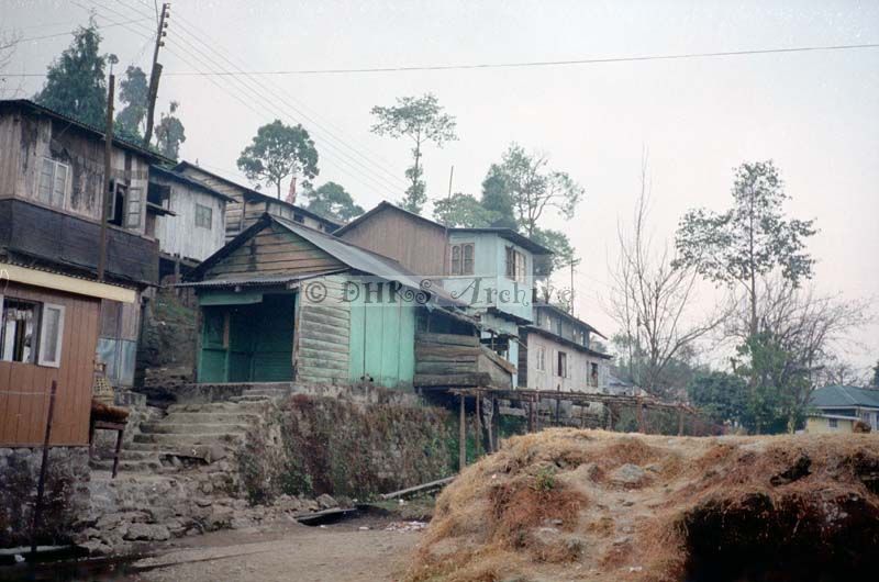 SB99-286.jpg