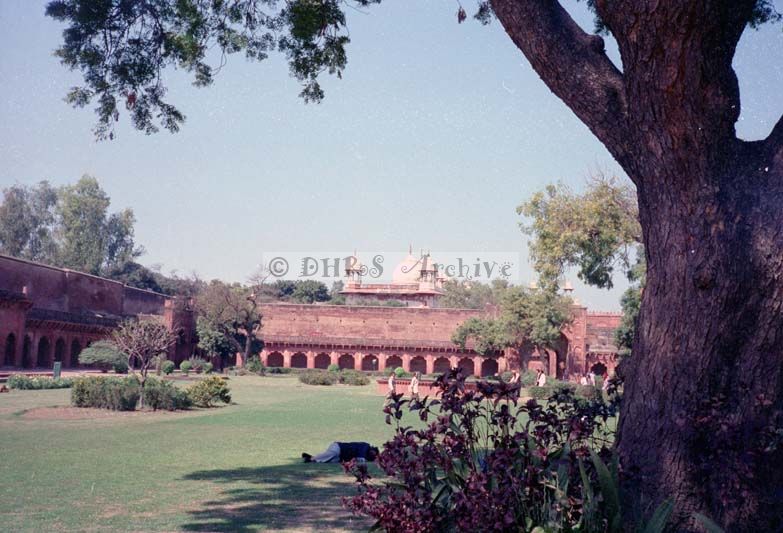 SB99-455.jpg