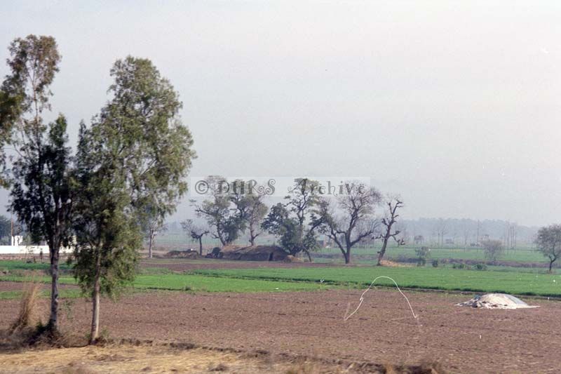 SB02-078.jpg