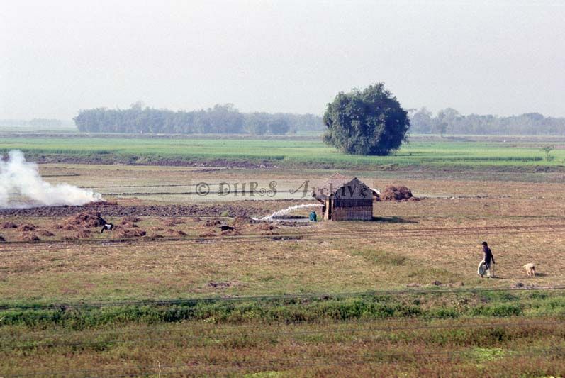 SB02-319.jpg