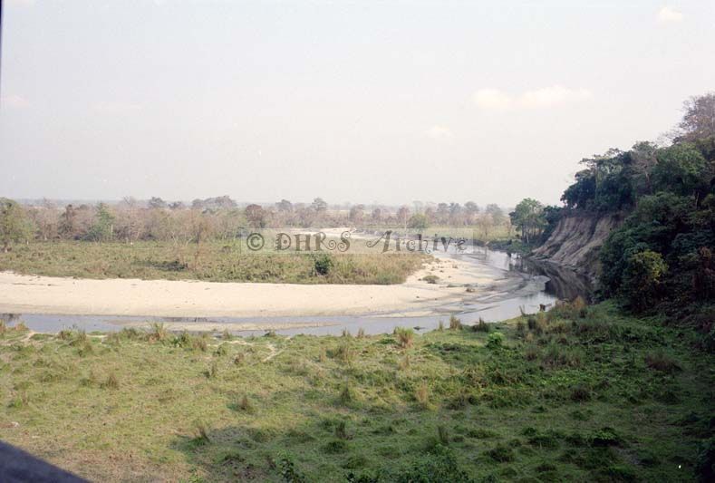 SB02-376.jpg