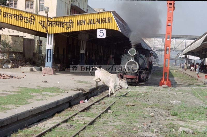 SB02-450.jpg