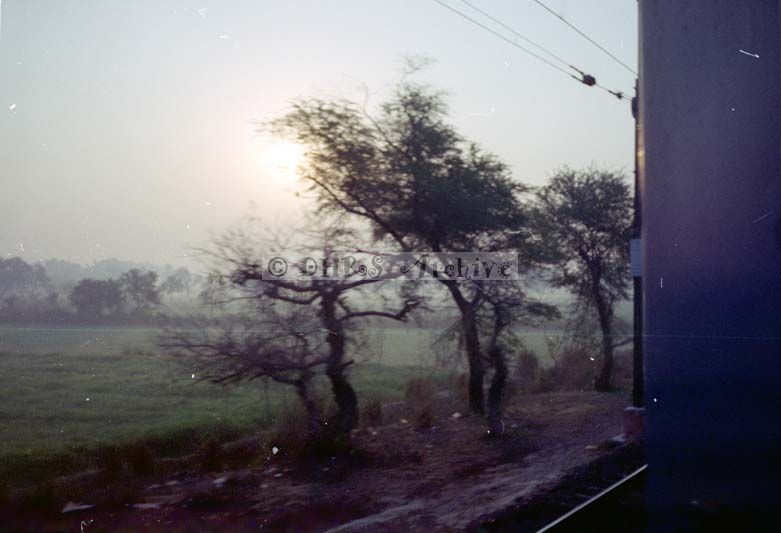SB02-723.jpg