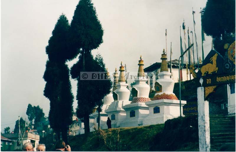 3585-09.jpg