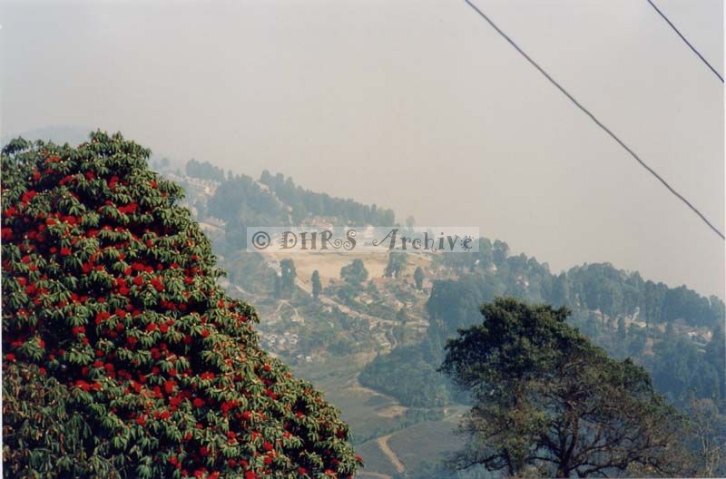 3586-15.jpg