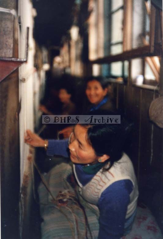 3586-18.jpg