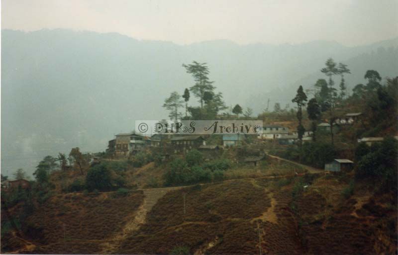 3588-22.jpg