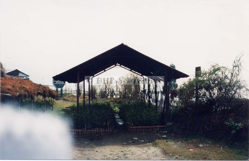3592-19.jpg