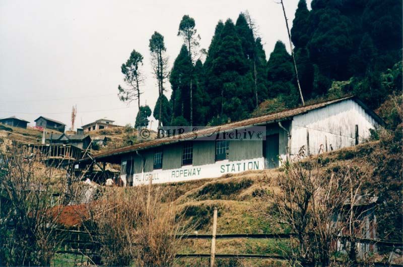 3592-23.jpg
