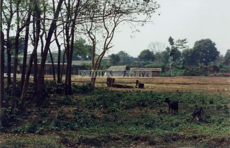 3628-34.jpg