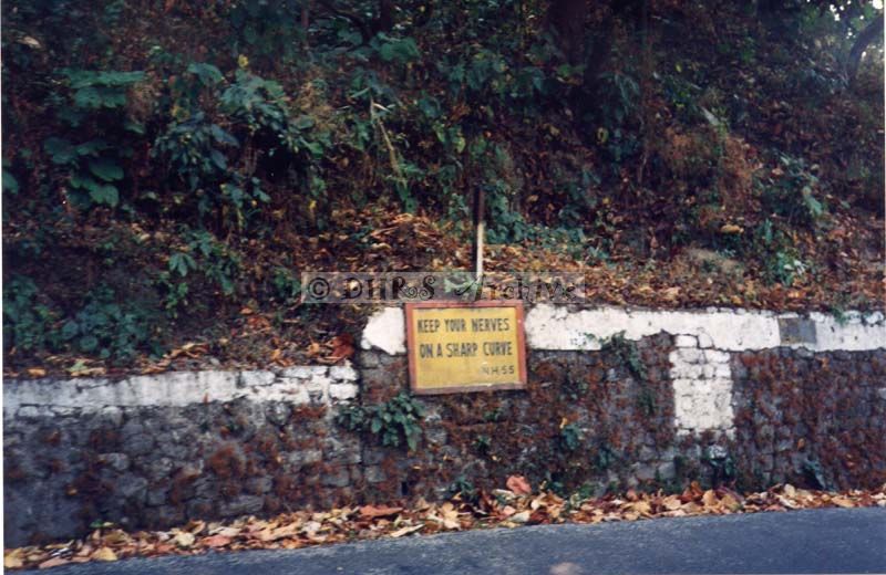 3629-06.jpg