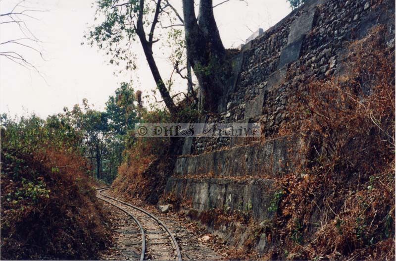 3629-12.jpg