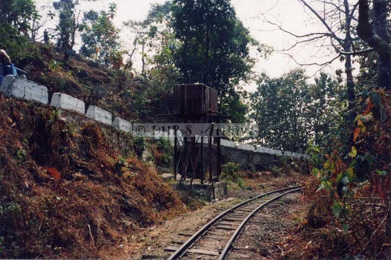 3629-17.jpg