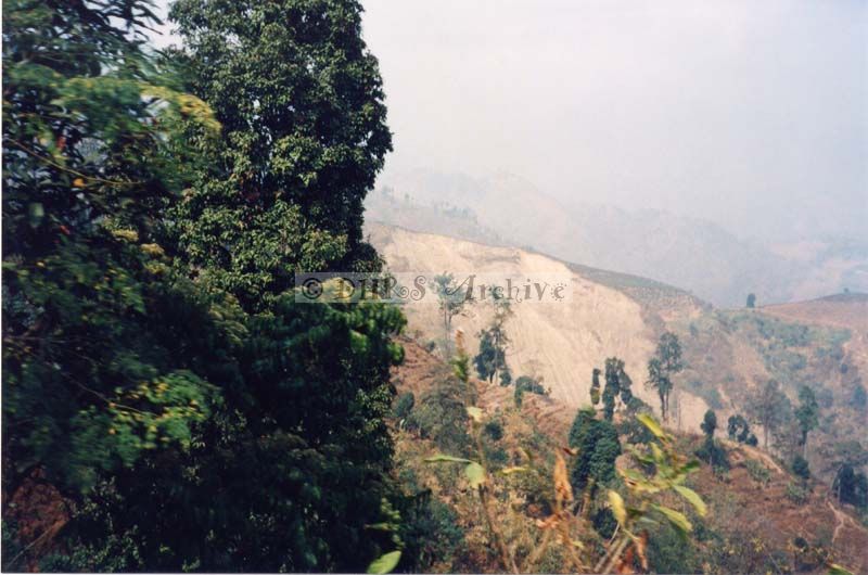 3629-20.jpg