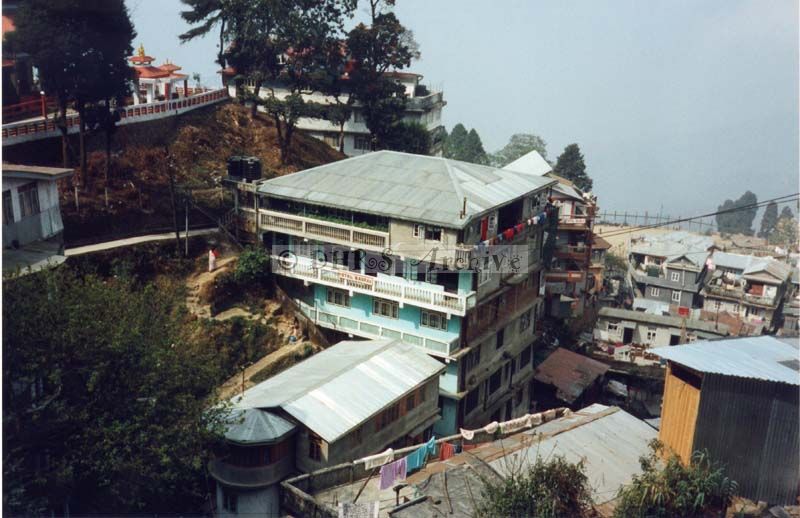 3629-23.jpg