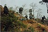 3584-35.jpg