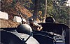 3586-05.jpg
