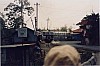 3586-10.jpg
