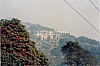 3586-15.jpg
