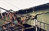3586-25.jpg
