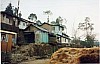 3588-31.jpg