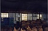 3592-17.jpg