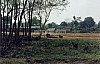 3628-34.jpg