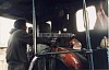 3629-05a.jpg