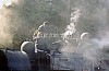 SB02-397-10.jpg