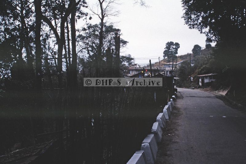 11756.jpg