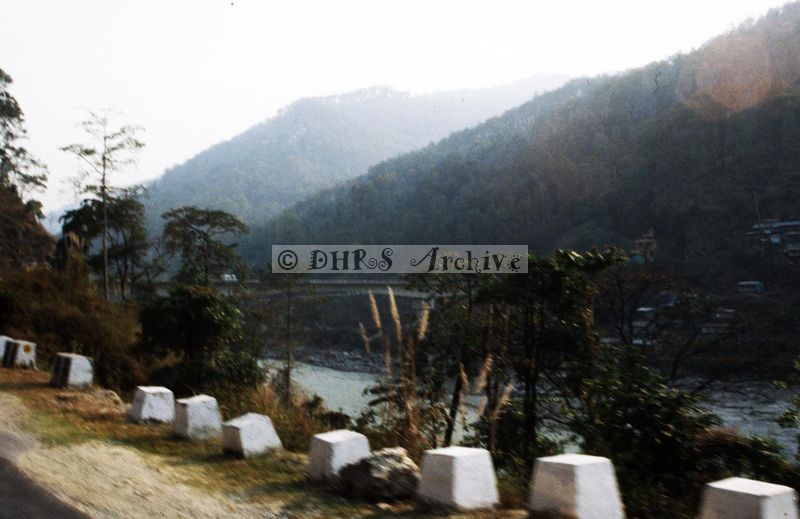 11805.jpg