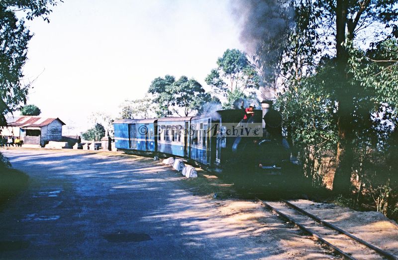 11833.jpg