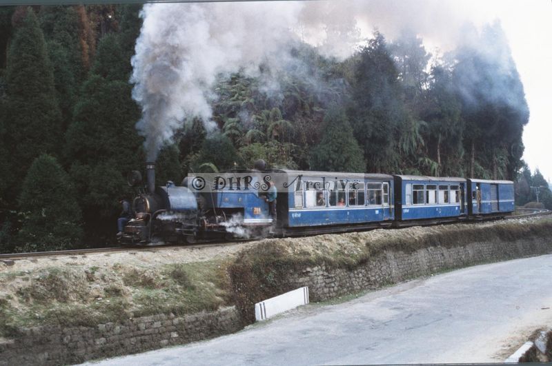 11895.jpg