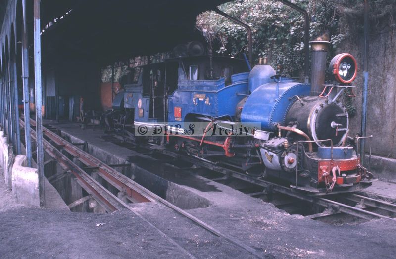 11918.jpg