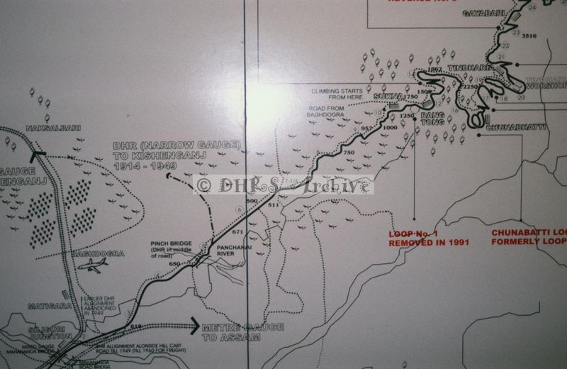 11949.jpg