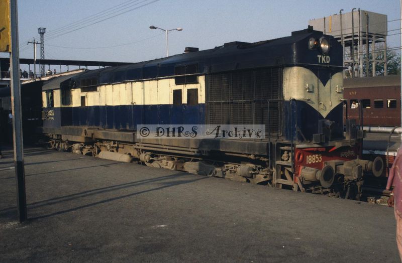 11971.jpg