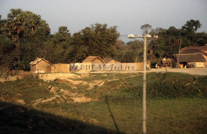 11974.jpg