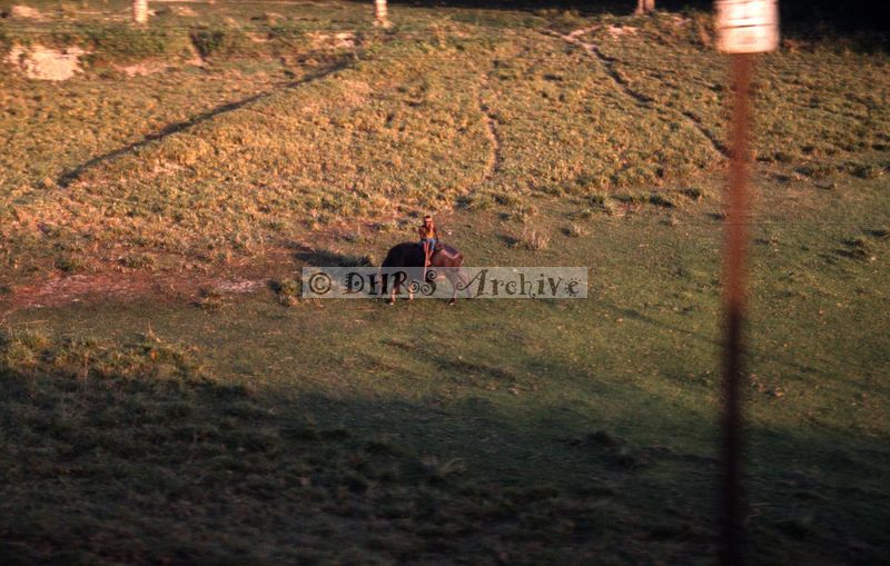 11978.jpg