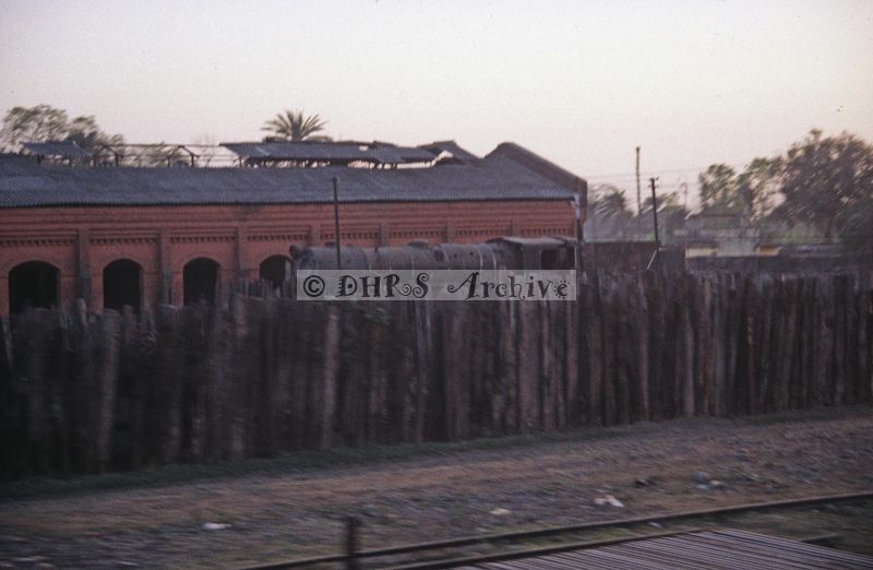 11980.jpg