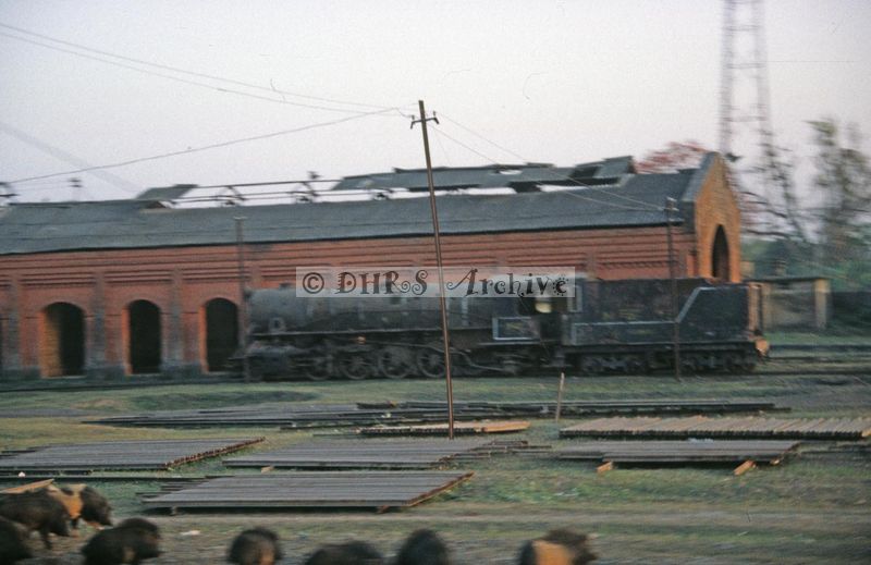 11981.jpg