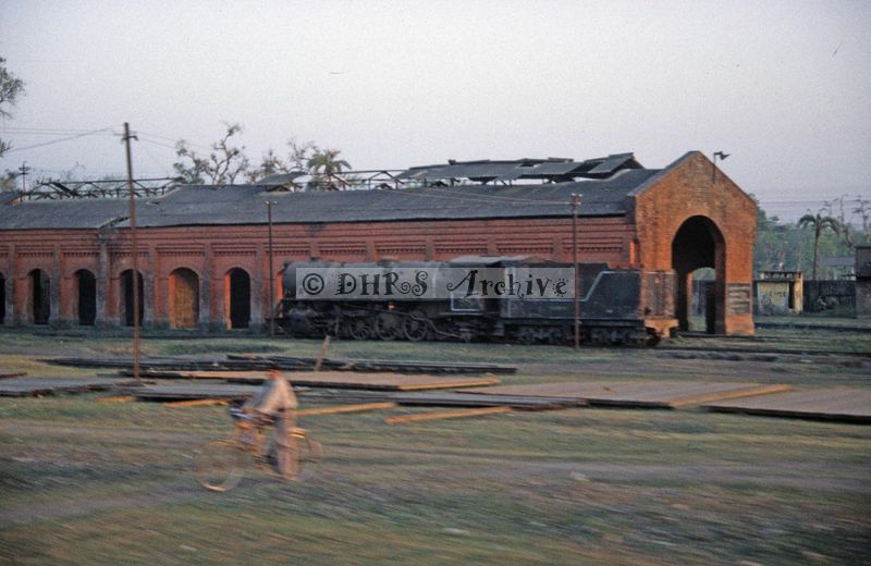 11982.jpg
