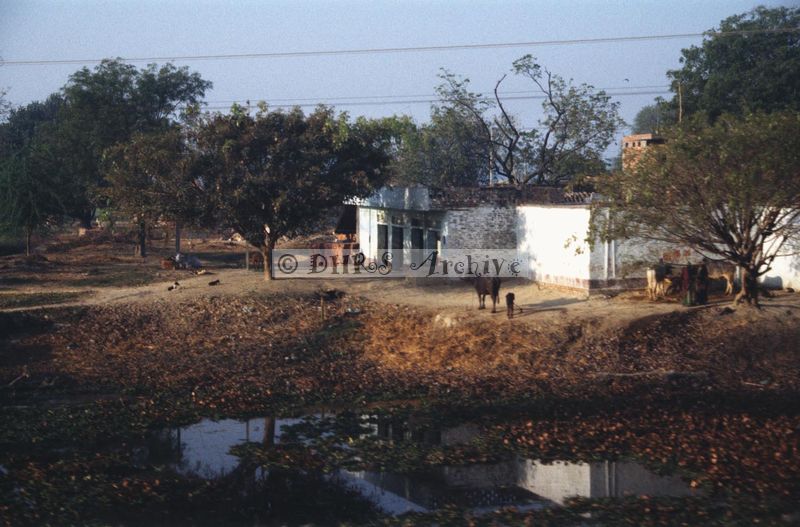 11985.jpg