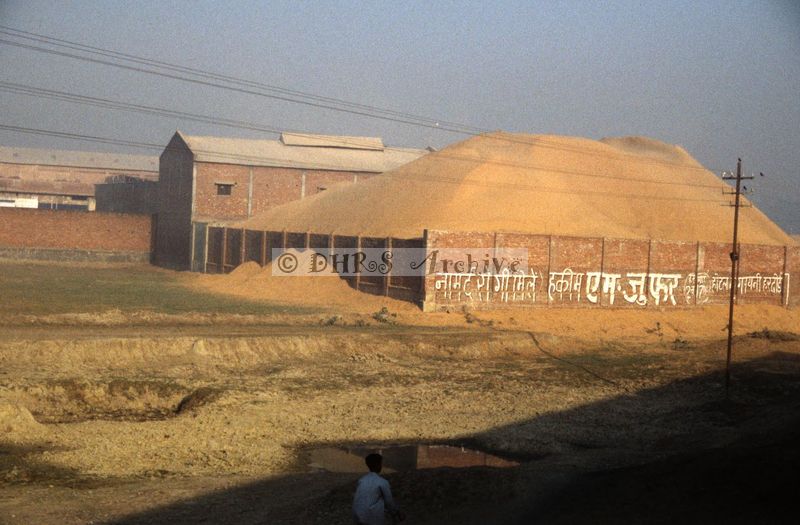 11987.jpg