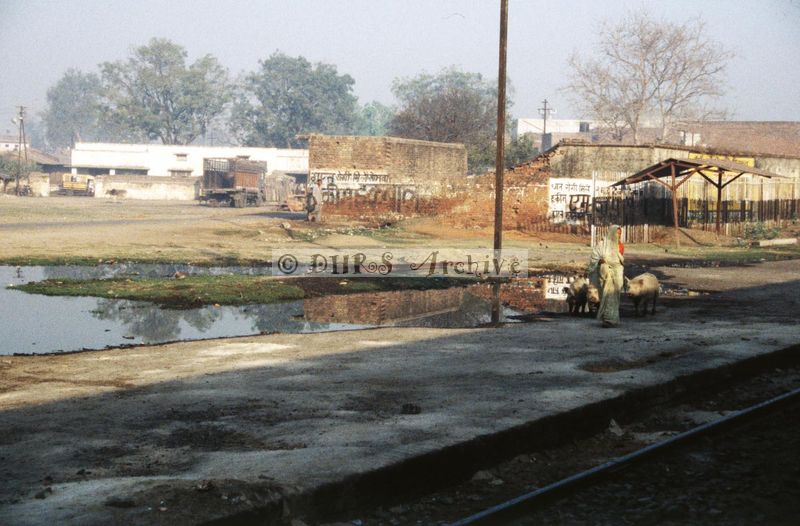 11989.jpg