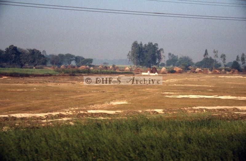 11995.jpg