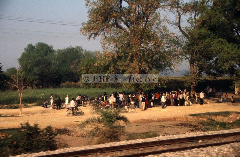 11997.jpg