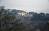 11739.jpg