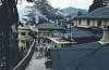 11751.jpg