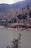 11785.jpg