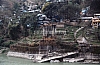 11786.jpg